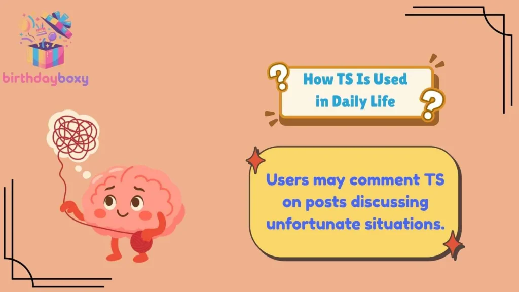 How TS Is Used in Daily Life
