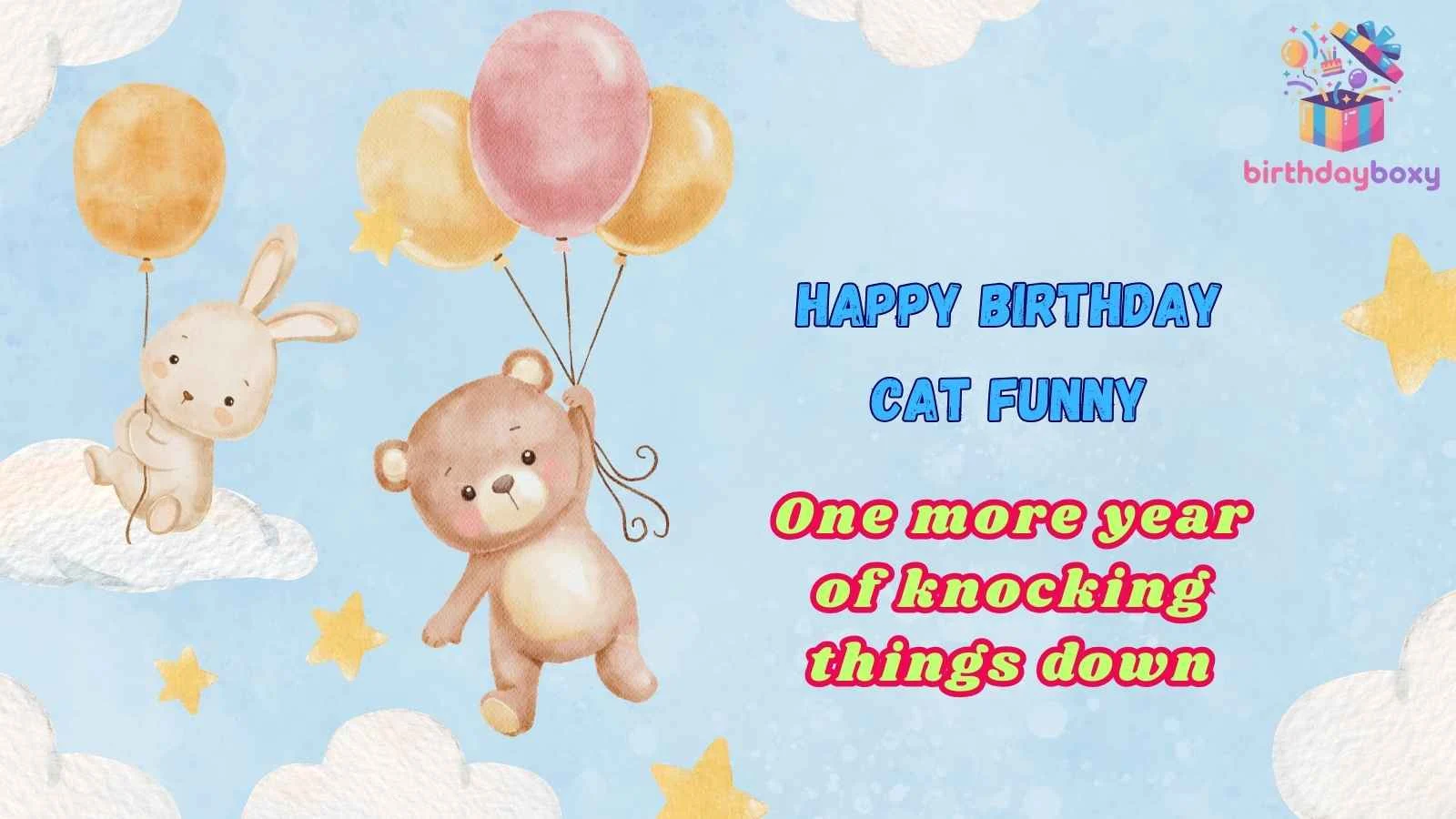 Happy Birthday Cat Funny
