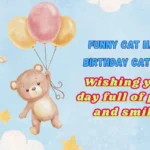 Funny Cat Happy Birthday Cat Meme