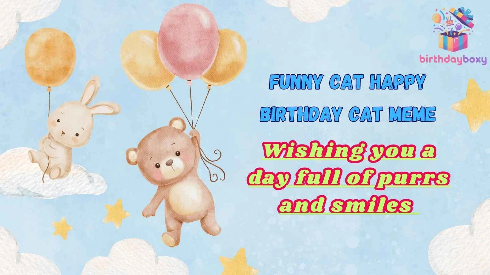 Funny Cat Happy Birthday Cat Meme