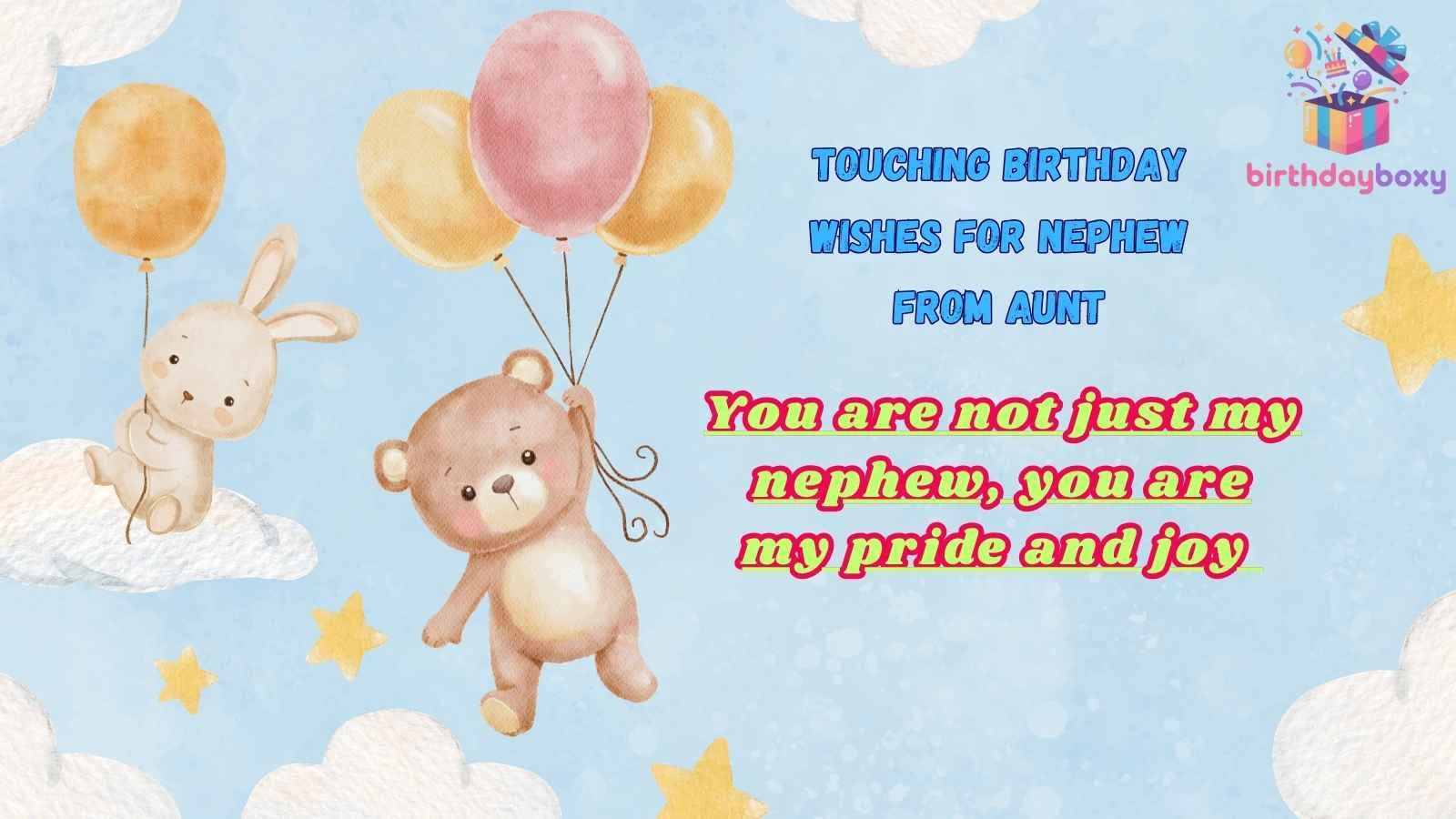 Touching Birthday Wishes for Nephew from Aunt