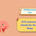 GTS Meaning in Text