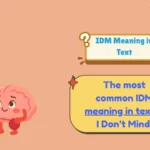 IDM Meaning in Text