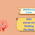 SMH Meaning in Text