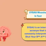 SYBAU Meaning in Text