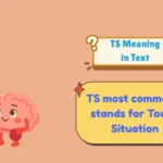 TS Meaning in Text