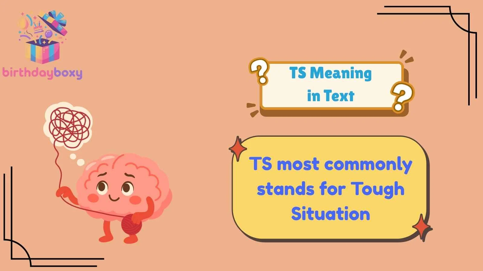 TS Meaning in Text