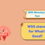 WSG Meaning in Text