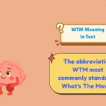 WTM Meaning in Text