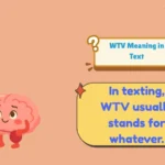 WTV Meaning in Text