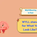 Wyll Meaning in Text
