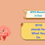 WYO Meaning in Text