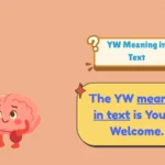 YW Meaning in Text
